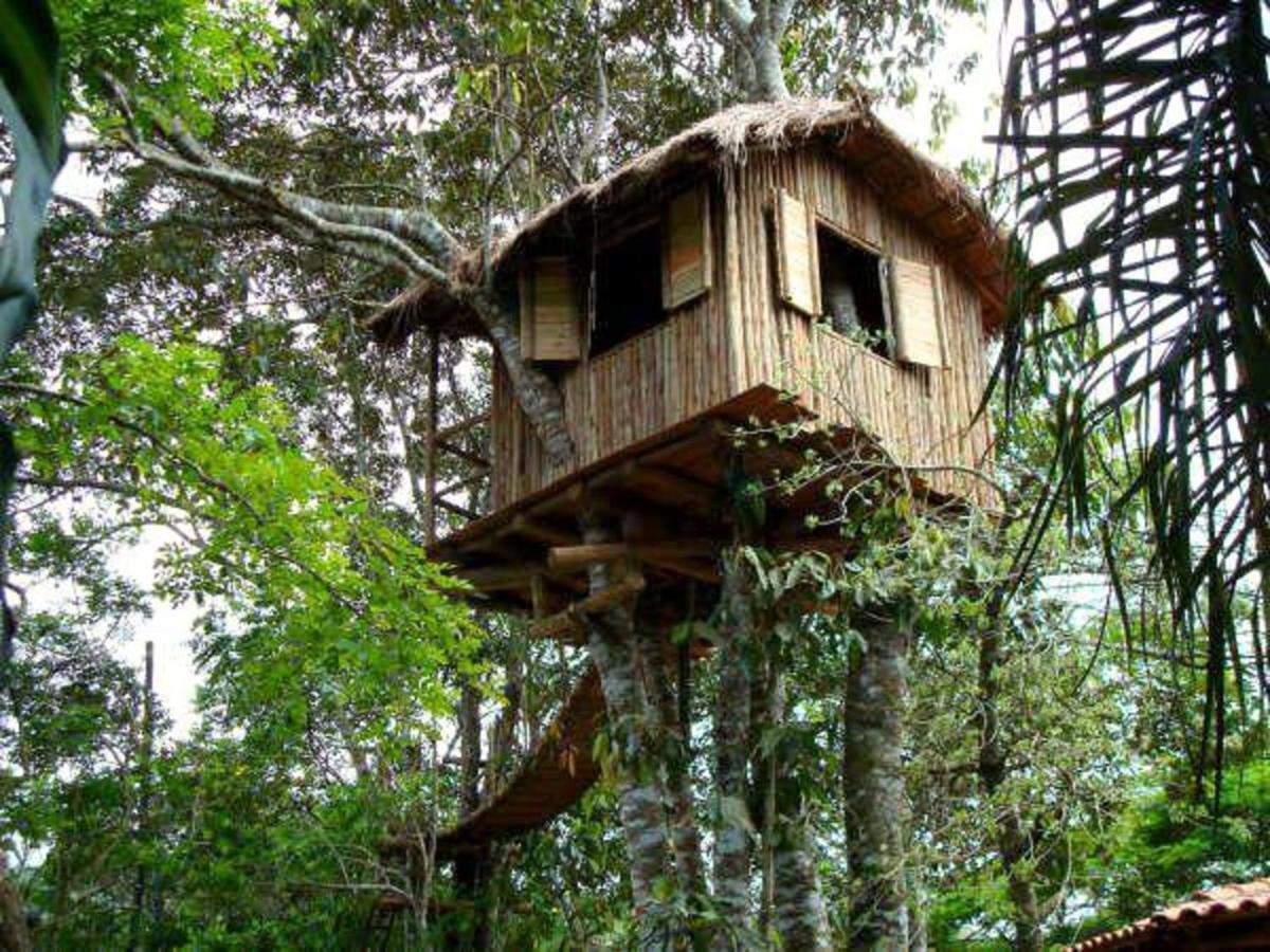 Pousada Recanto Das Aves Iguape Extérieur photo